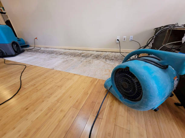 Professional Structural Drying technician working in Claypool, AZ